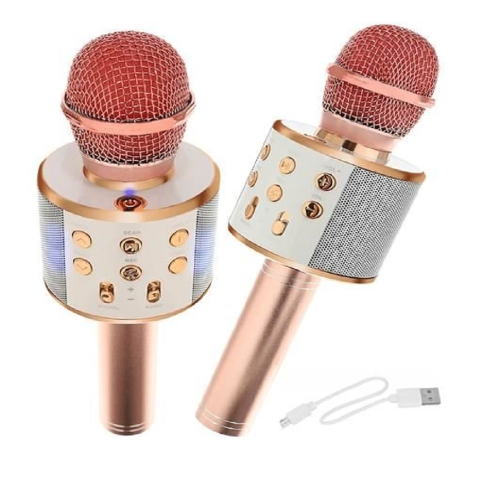 Bluetooth Karaoke mikrofon WS-858 (BBL) (BBV) (14)