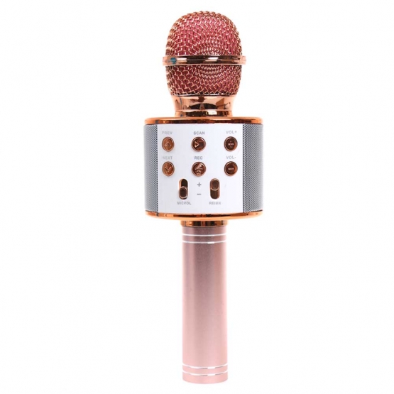 vyrp13_971ws-858-karaoke-mikrofon-2