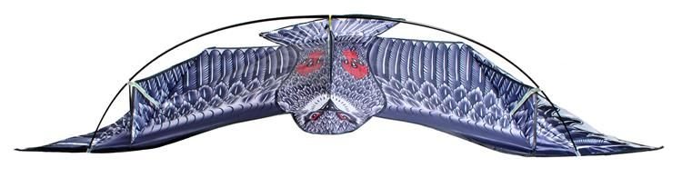 eng_pl_Great-Eagle-Flying-Dragon-for-Kids-Adults-Huge-200-x-83-cm-Wingspan-Dragonfly-Lifelike-Black-8560-13685_5