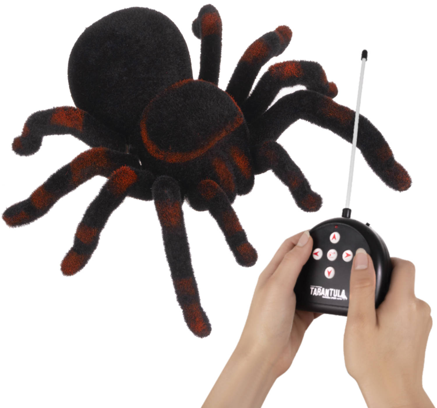 Élethű, távirányítós tarantula – 25 cm (BB-4503) (15)